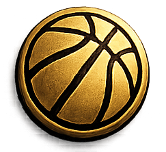 Basketball Icon