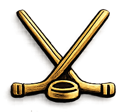 Hockey Icon